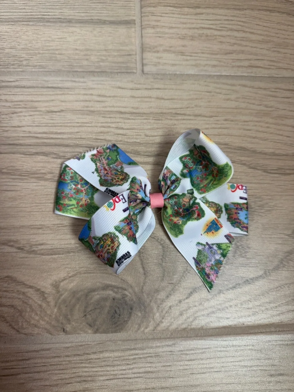 Disney World Parks Bow